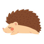 hedgehog icon vector